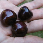 Rundgangsimpressionen 5.7.2019