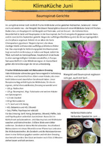 KlimaKüche-Rezept_22.6.2020